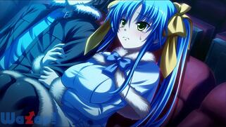 ����0�L�����[�g��V�̉摜