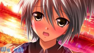 ����0�L�����[�g��V�̉摜