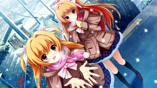 ����0�L�����[�g��V�̉摜