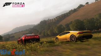 Forza Horizon 2�̉摜