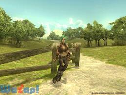 �A���J�f�B�A�T�[�K�̉摜