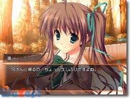 �����ːF�ɐ��܂�� �ہ[���Ԃ�̉摜