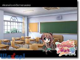 �����ːF�ɐ��܂�� �ہ[���Ԃ�̉摜