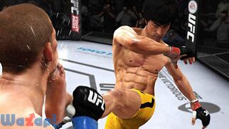 EA SPORTS UFC�̉摜