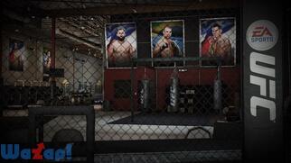 EA SPORTS UFC�̉摜