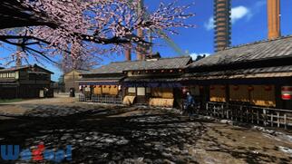 �J���m�Q�m�̉摜