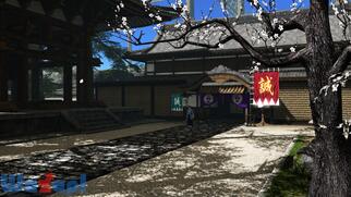 �J���m�Q�m�̉摜