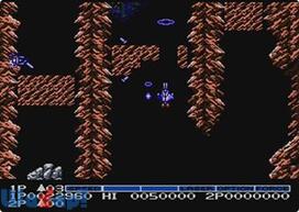 �����֎ւ̉摜