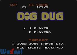 �f�B�O�_�O�̉摜