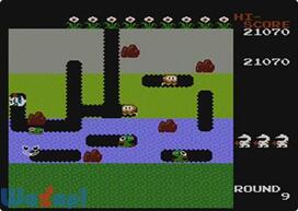 �f�B�O�_�O�̉摜