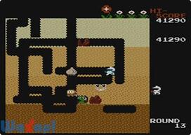 �f�B�O�_�O�̉摜