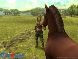 �A���J�f�B�A�T�[�K�̉摜