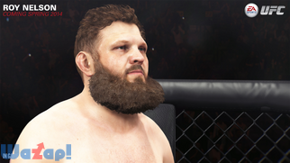 EA SPORTS UFC�̉摜