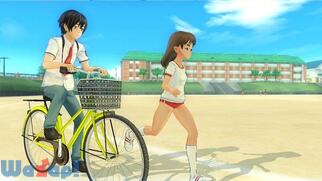 �ĐF�n�C�X�N�����t�����i���j�̉摜