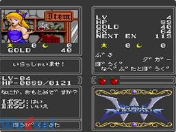 �_�u���_���W�����̉摜