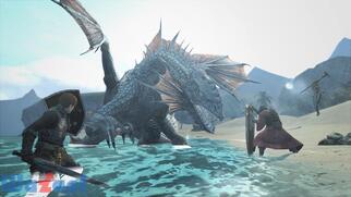 �h���S���Y�h�O�} �I�����C���̉摜