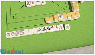 �� �P���̉摜