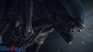 �G�C���A�� �A�C�\���[�V�����̉摜