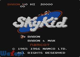 �X�J�C�L�b�h�̉摜