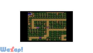 �������`�̉摜