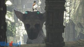 �l�򂢂̑�h�g���R�̉摜