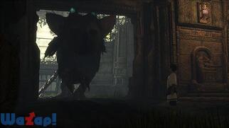 �l�򂢂̑�h�g���R�̉摜