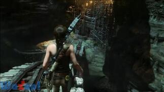 ���C�Y�I�u�U�g�E�[�����C�_�[�̉摜