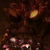 ZEKL̃Lv`[摜