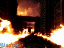 �A�[�}�[�h�E�R�A5�̉摜