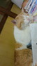 ^^j̃Lv`[摜