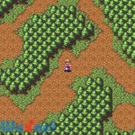 �t���C�n�C�g�N���E�f�B�A�̉摜