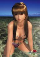 DEAD OR ALIVE Paradise�̉摜