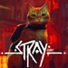 Stray