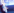 Venerupis::googlẽLv`[摜