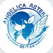 ANGELICA ASTER̃Jo[摜