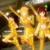 wACh}X^[Qxɉ߂ۂߑzMBt@""̂ƃ~bNXi悠j̃Lv`[摜