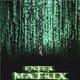 ENTER THE MATRIX