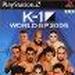 K-1 WORLD GP 2005