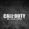 2012ŃuCall of Duty: Black Ops 2vH̃Lv`[摜