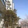 PS VitaCuVXe\tgEFAo[W1.60vAbvf[g28Ɏ{̃Lv`[摜