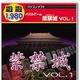 遊遊 パズルゲーム 紫禁城 Vol.1
