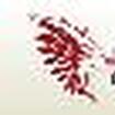 iCgIC̃Jo[摜