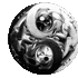 ŒcJt::googlẽvtB[摜