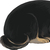 寝てる柴犬さんのプロフィール画像