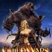 Guild Wars