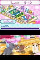 ���킢���q�LDS2�̉摜