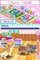 ���킢���q�LDS2�̉摜