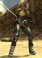 �p���h���T�[�K�̉摜