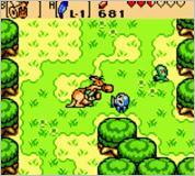 �[���_�̓`�� �ӂ����̖؂̎� ��n�̏͂̉摜