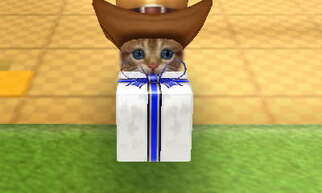 nintendogs + cats �g�C�E�v�[�h�� & New�t�����Y�̉摜